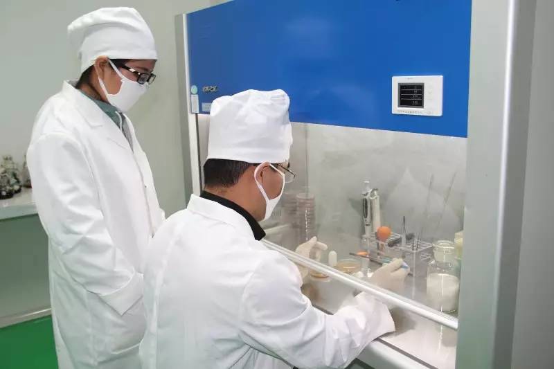 发酵杜仲 大禹生物专属技术解锁杜仲活性新维度